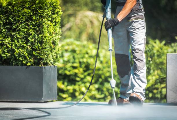 Best Playground Equipment Cleaning  in Zephyrhills North, FL